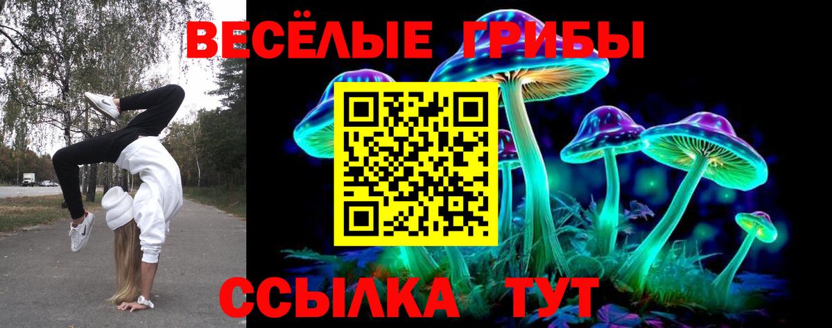 Галлюциногенные грибы Psilocybe Калач-на-Дону