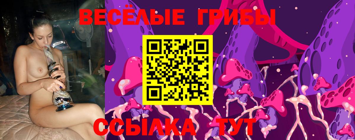 Галлюциногенные грибы Psilocybine cubensis  Галлюциногенные грибы мухоморы  Калач-на-Дону  Вход с VPN 